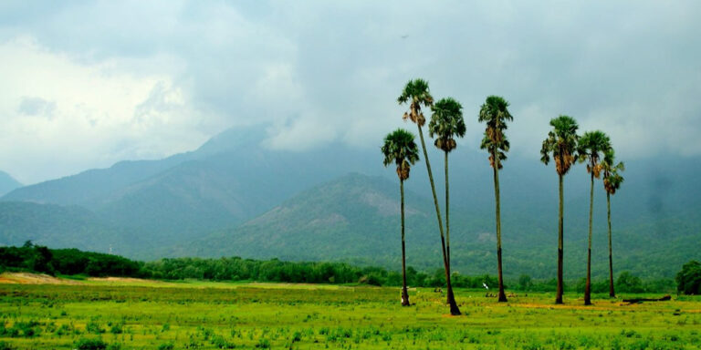Ethans apple best food destination near palakkad on nh544