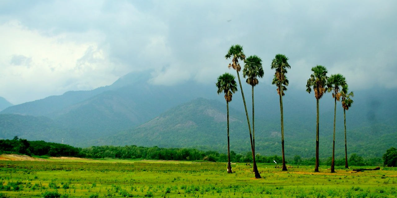 Ethans apple best food destination near palakkad on nh544